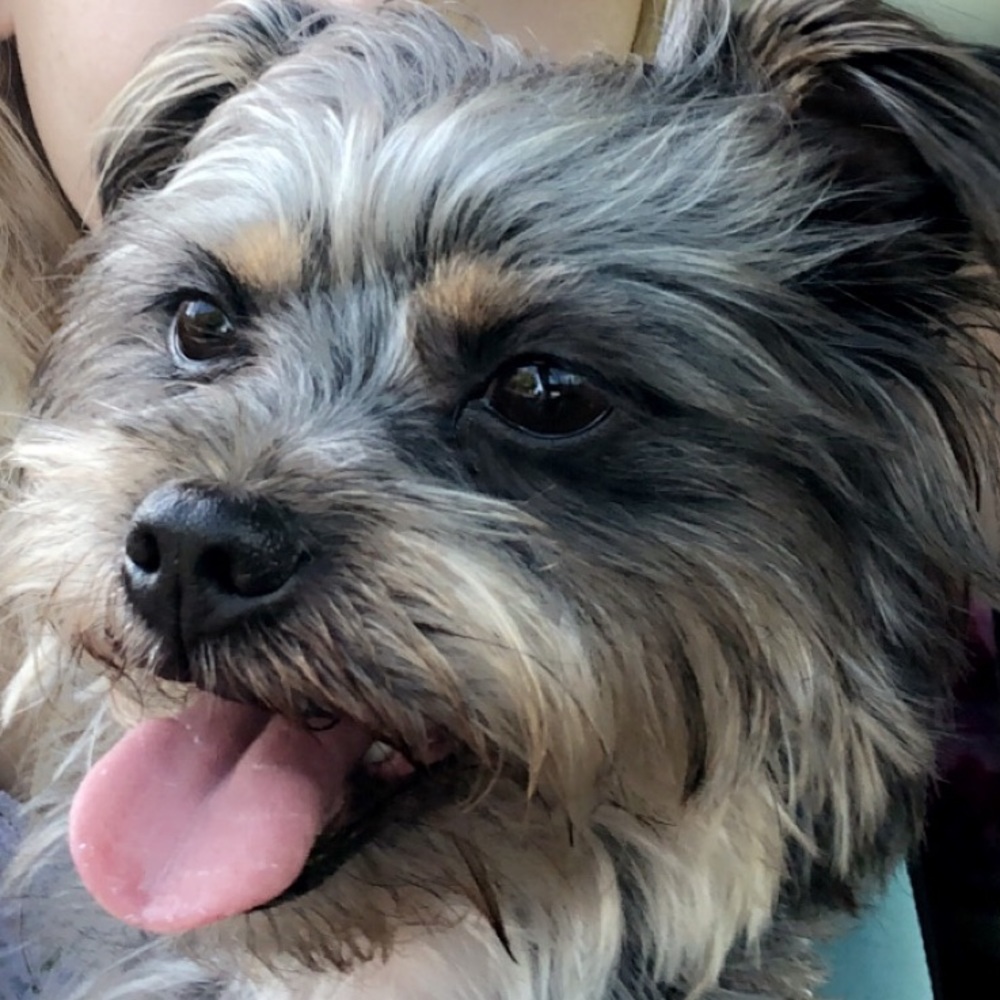 COPY - Meet your Posher